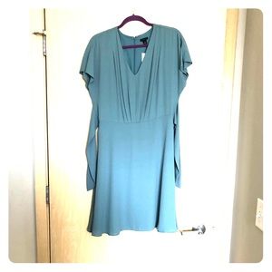 Ann Taylor pale green dress